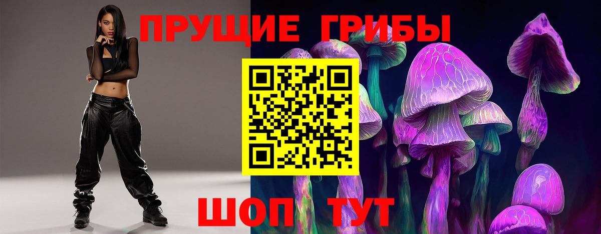 Псилоцибиновые грибы ЛСД Владимир