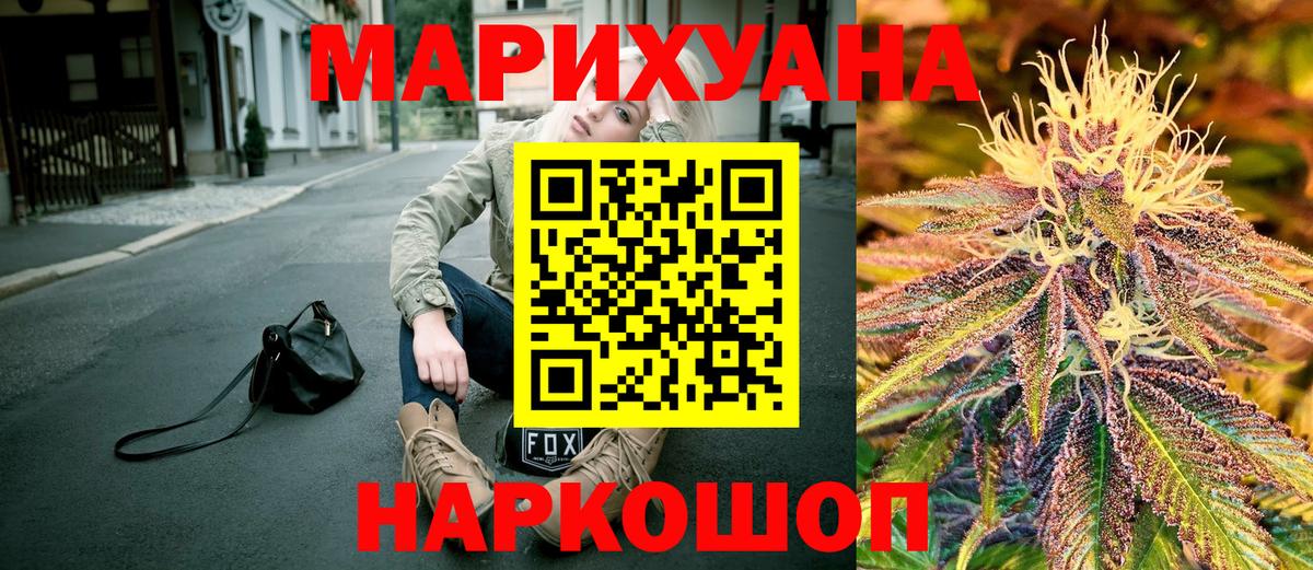 Галлюциногенные грибы Владимир